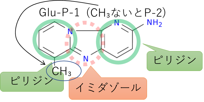 Glu-P-1の構造