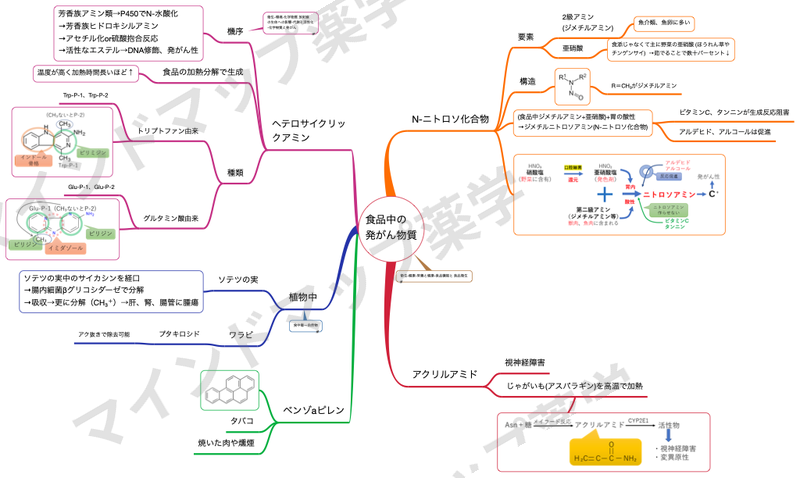 食品中の発がん物質のマインドマップ