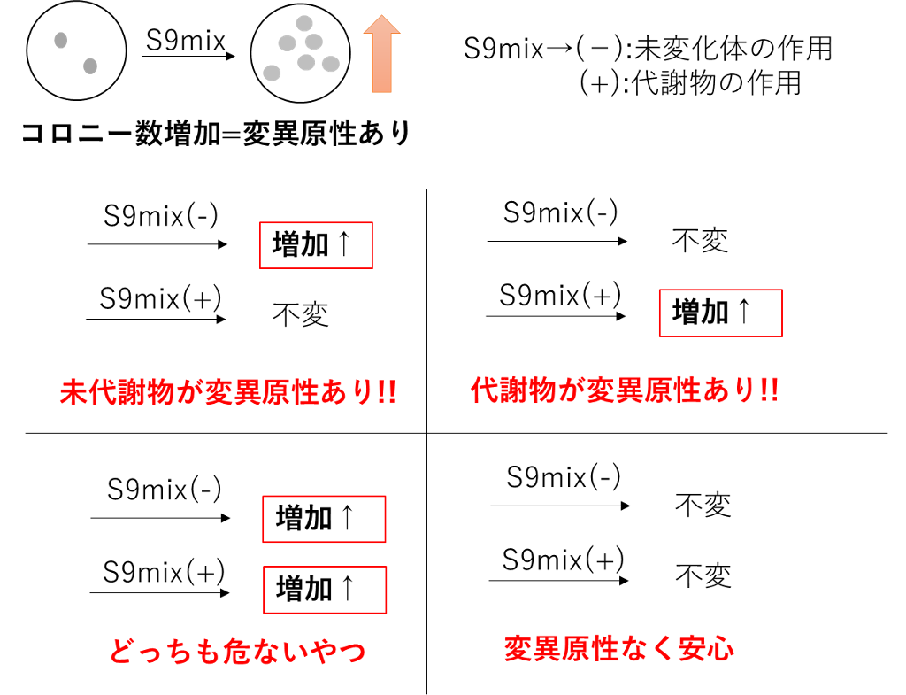 Ames試験の判定4パターン