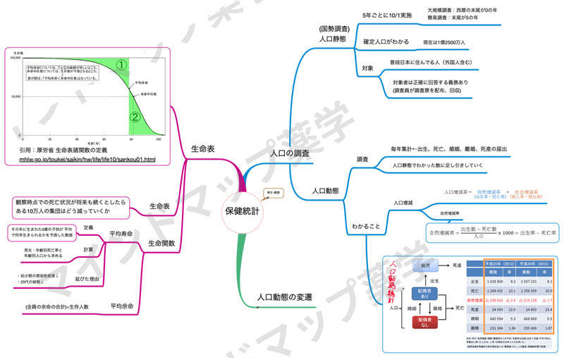 保健統計のマインドマップ