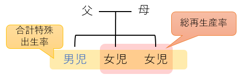 父母から生まれた男児・女児と、合計特殊出生率/総再生産率の範囲