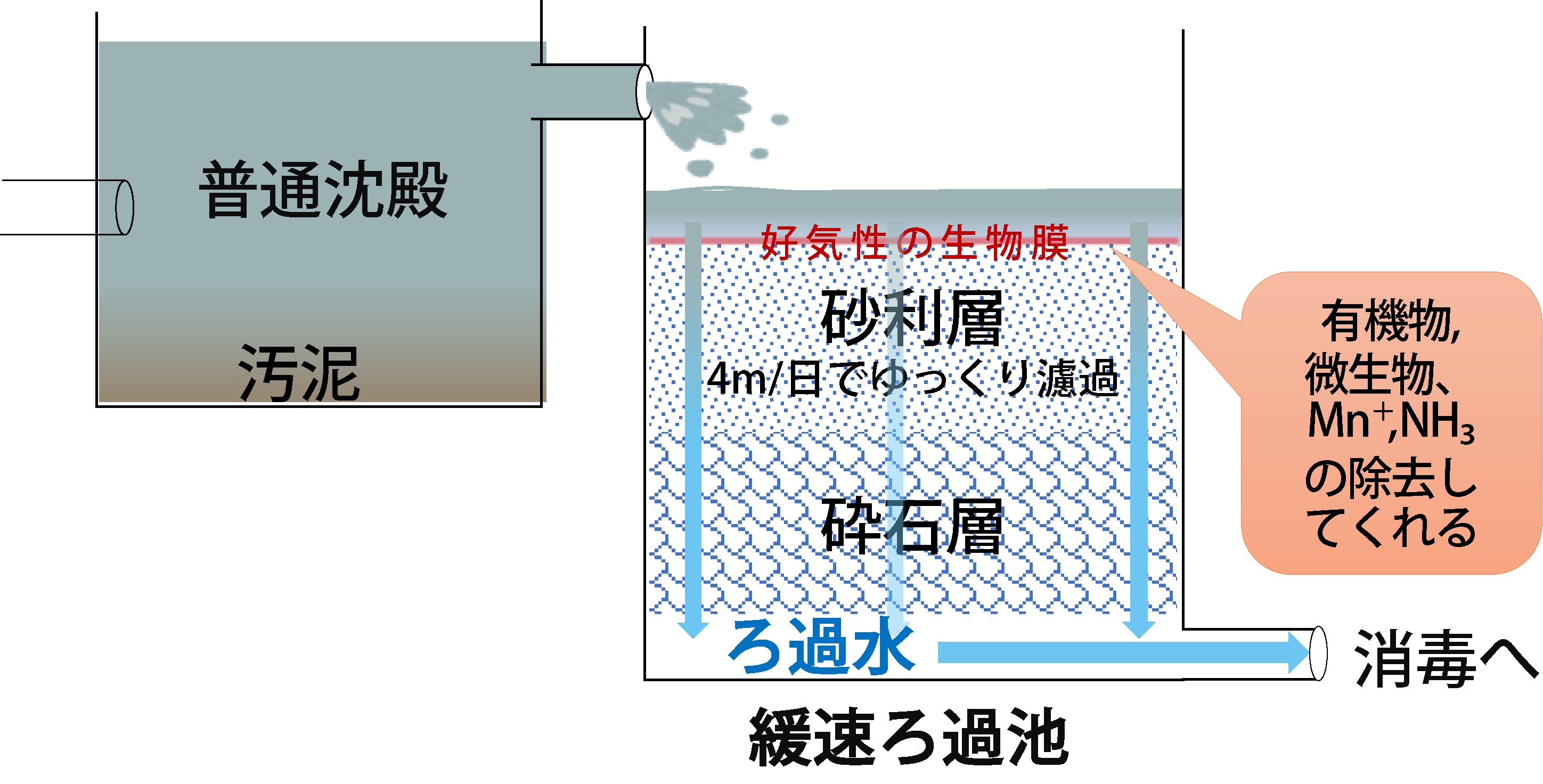 普通沈殿と緩速ろ過
