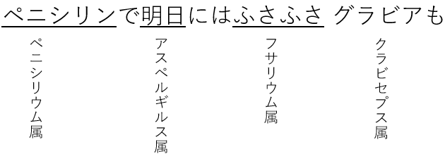 属名の語呂
