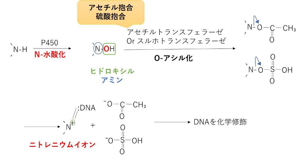ニトレニウムイオンの生成