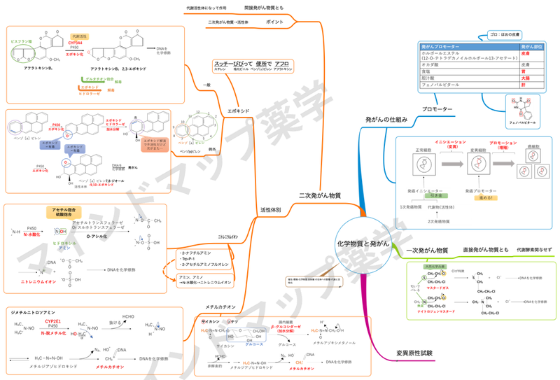 化学物質と発がんのマインドマップ