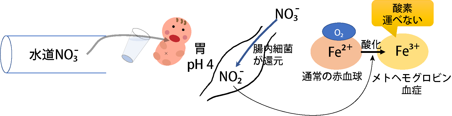 メトヘモグロビン血症の機序