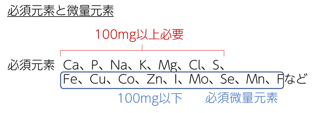 必須元素と必須微量元素