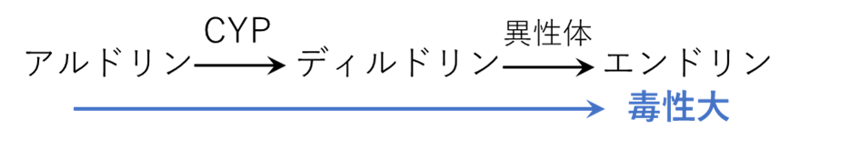 ドリン系の関係