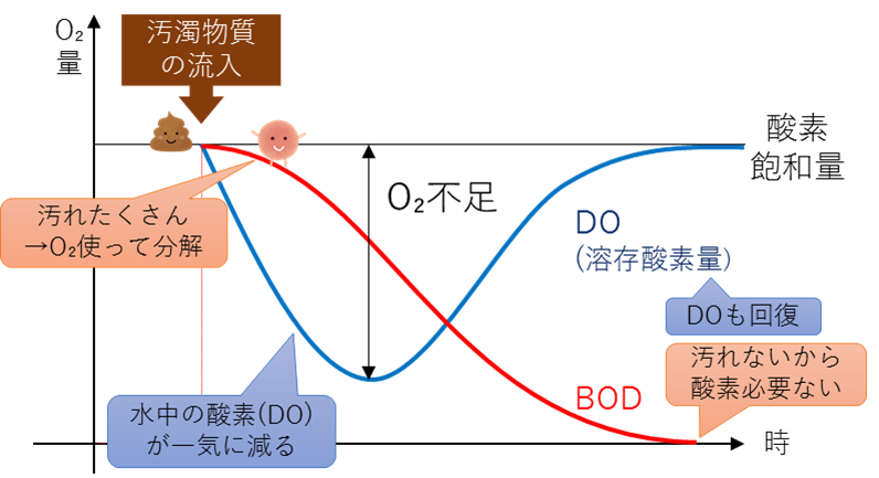 溶存酸素消費曲線