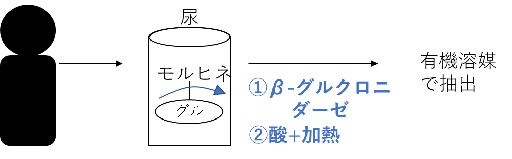 モルヒネの尿検査
