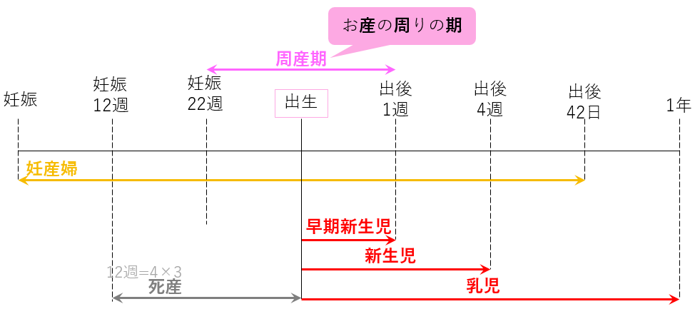 母子保健の時間軸