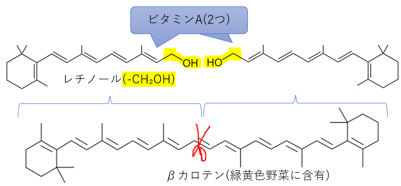 βカロテンからビタミンAへ