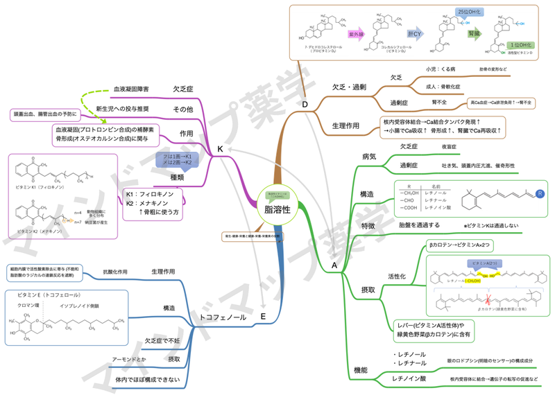 脂溶性ビタミンのマインドマップ