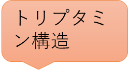 トリプタミン構造