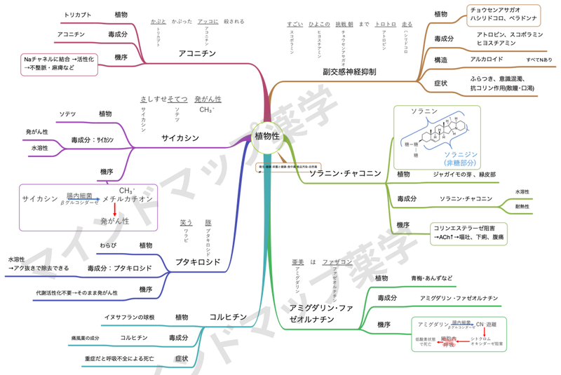 植物性自然毒のマインドマップ