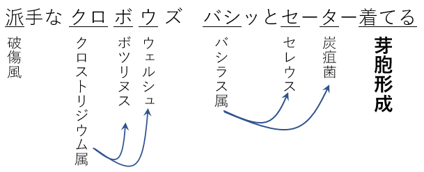 芽胞を形成する菌の語呂