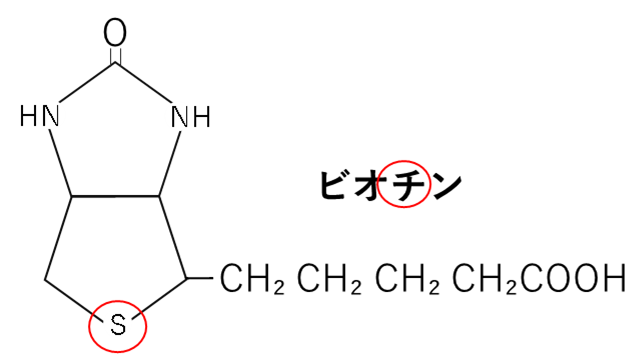 ビオチンの構造