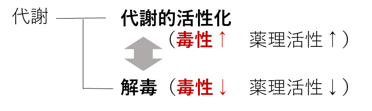 代謝的活性化と解毒