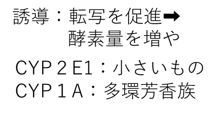 誘導とは