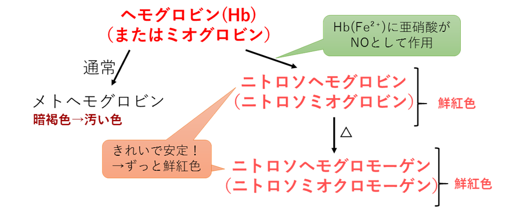 発色剤の機序