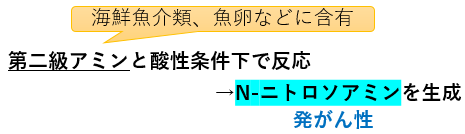 N-ニトロソアミンの生成