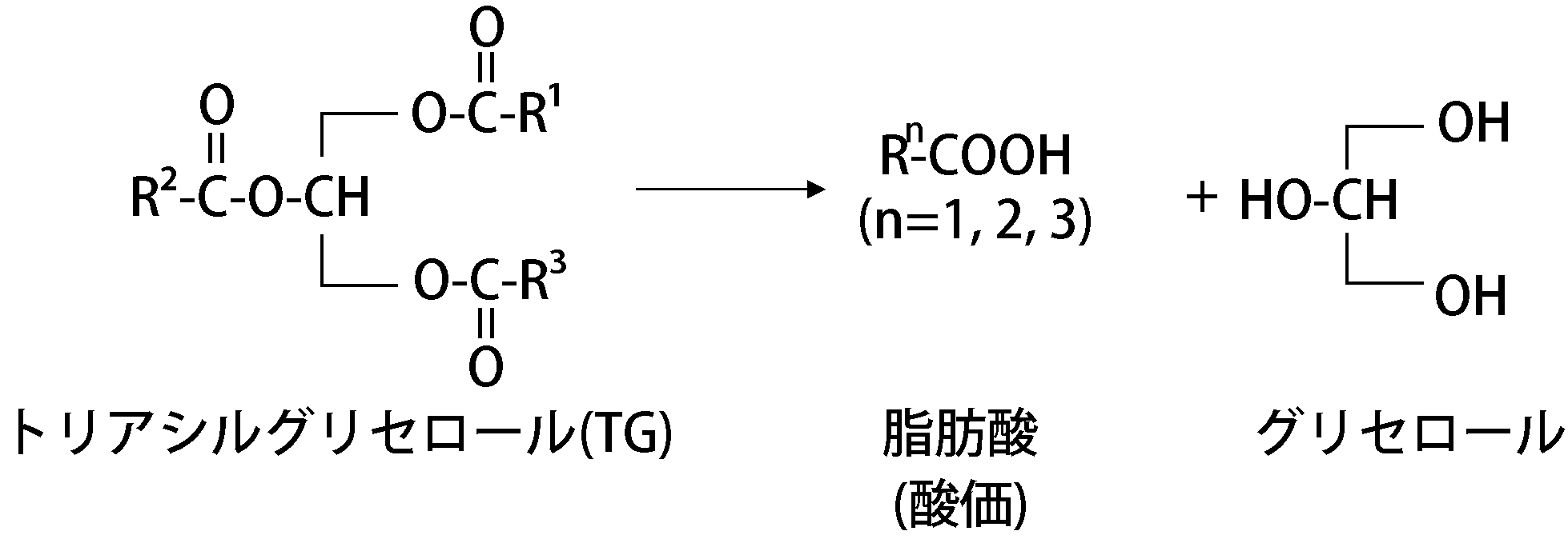 油脂の加水分解