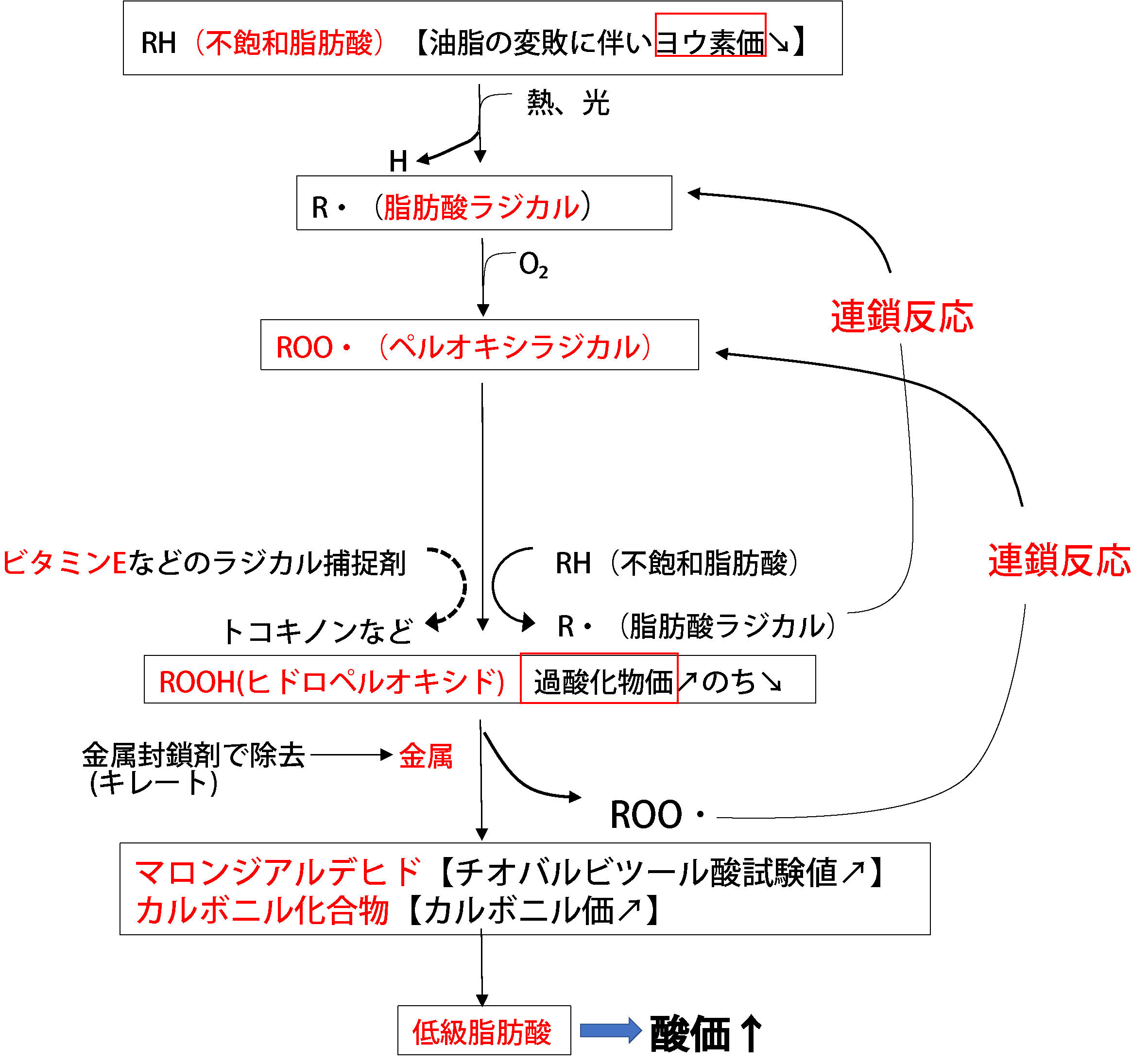 油脂の自動酸化の全体像
