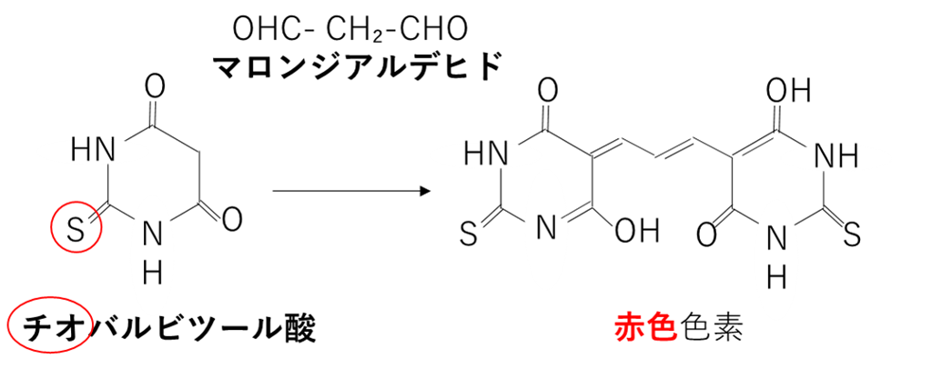チオバルビツール酸とマロンジアルデヒドの反応