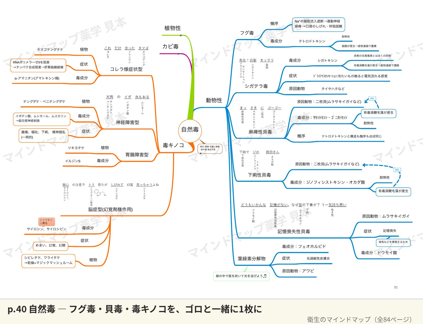 衛生マインドマップ p.40 自然毒のページ
