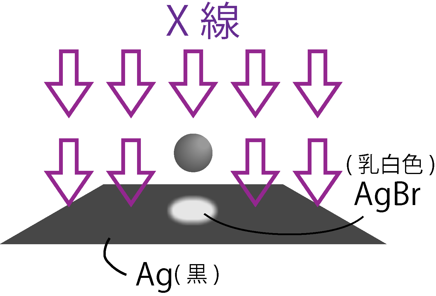 X線が当たったところではAgBrがAgに還元される