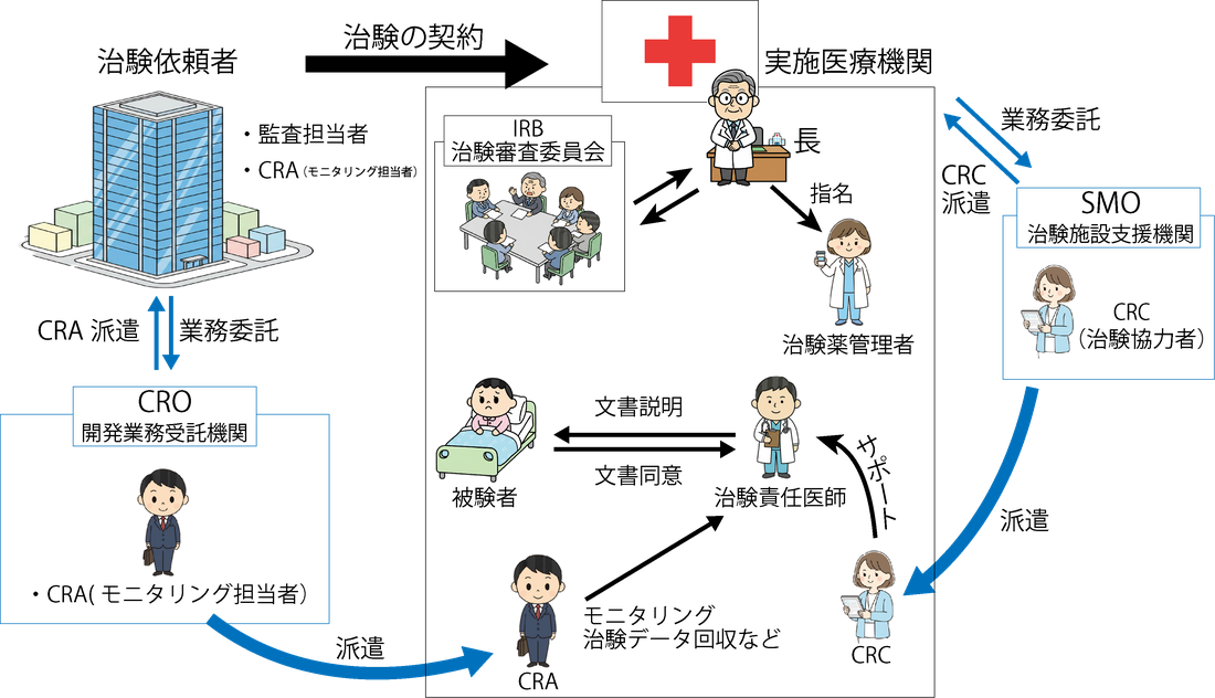 治験依頼者・CRO・CRA・実施医療機関(IRB・治験責任医師・治験薬管理者)・CRC・SMO・被験者の関係図