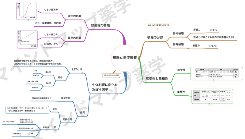 被曝と生体影響のマインドマップ