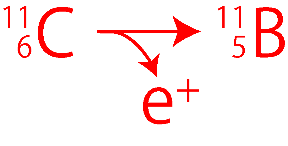 ¹¹C → ¹¹B + e⁺
