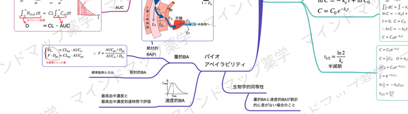 バイオアベイラビリティのマインドマップ
