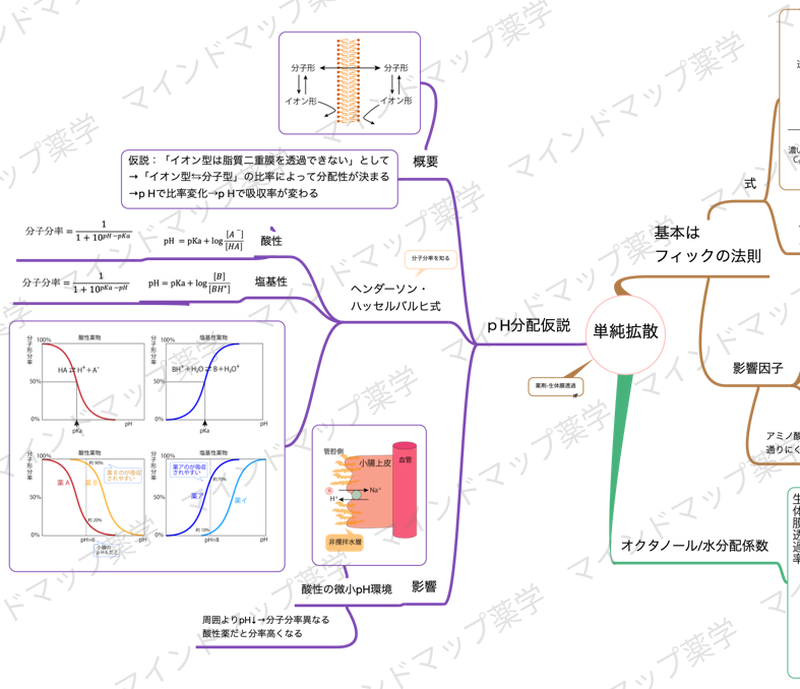 pH分配仮説のマインドマップ