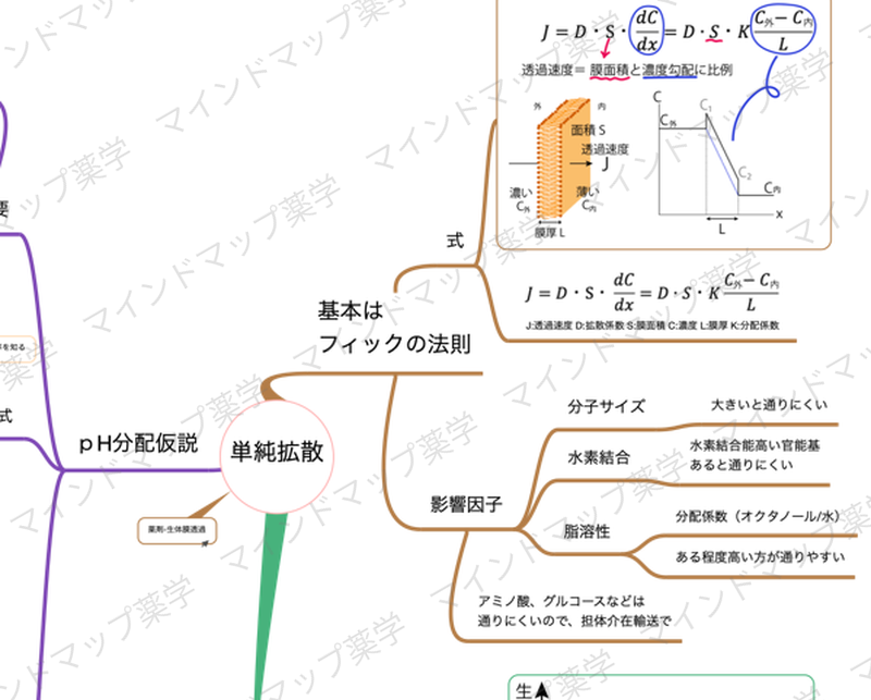Fickの法則と影響因子のマインドマップ