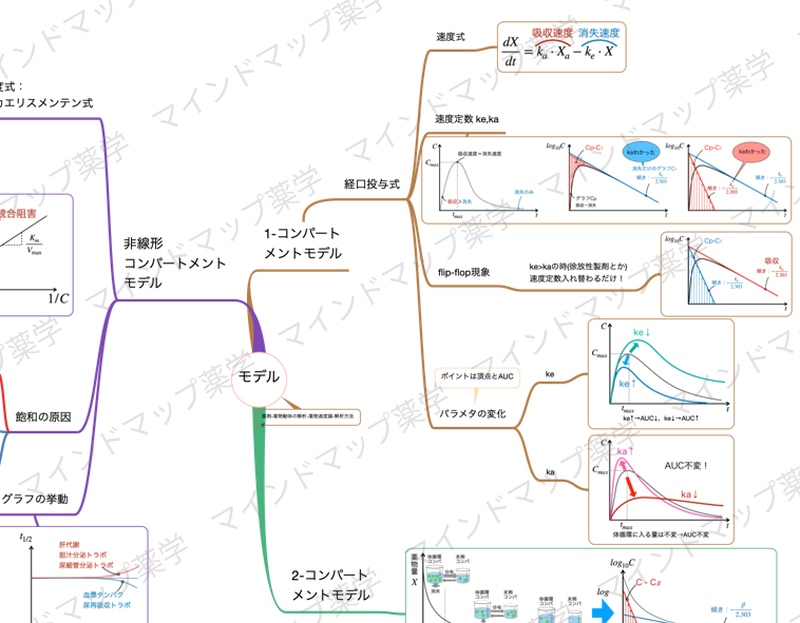 経口投与式のマインドマップ