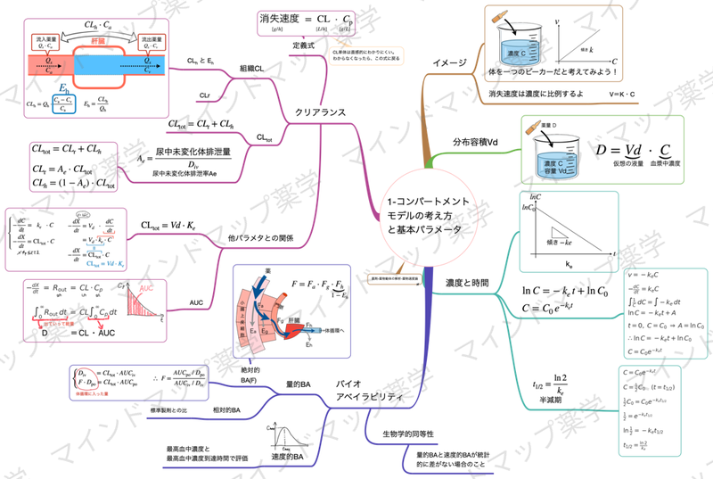 1-コンパートメントモデルの基本パラメータのマインドマップ