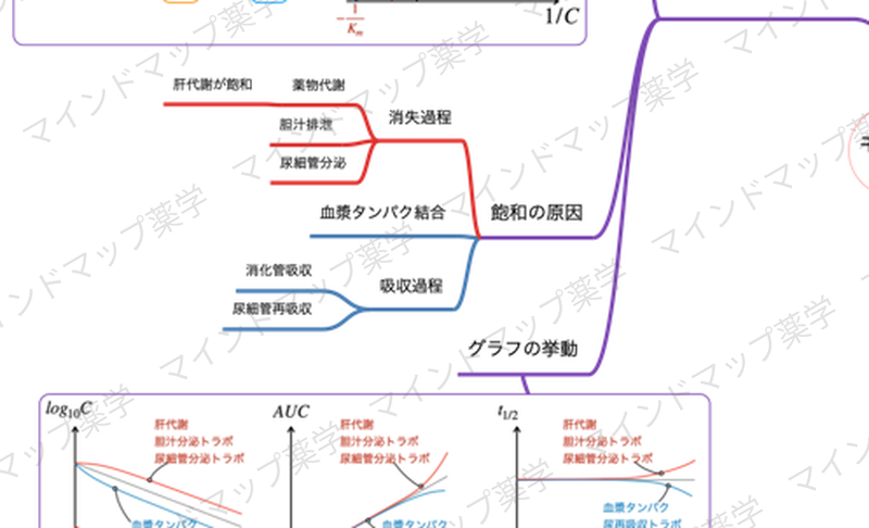 飽和の原因のマインドマップ