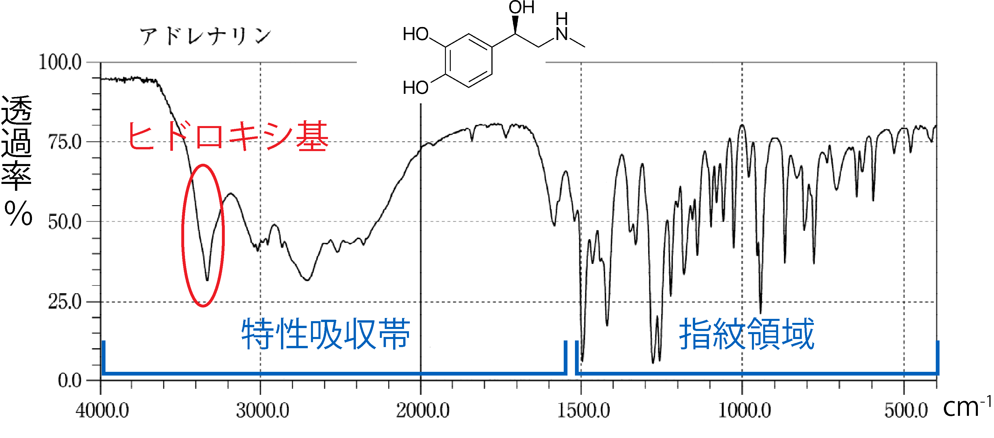 日本薬局方のアドレナリンのIRスペクトル