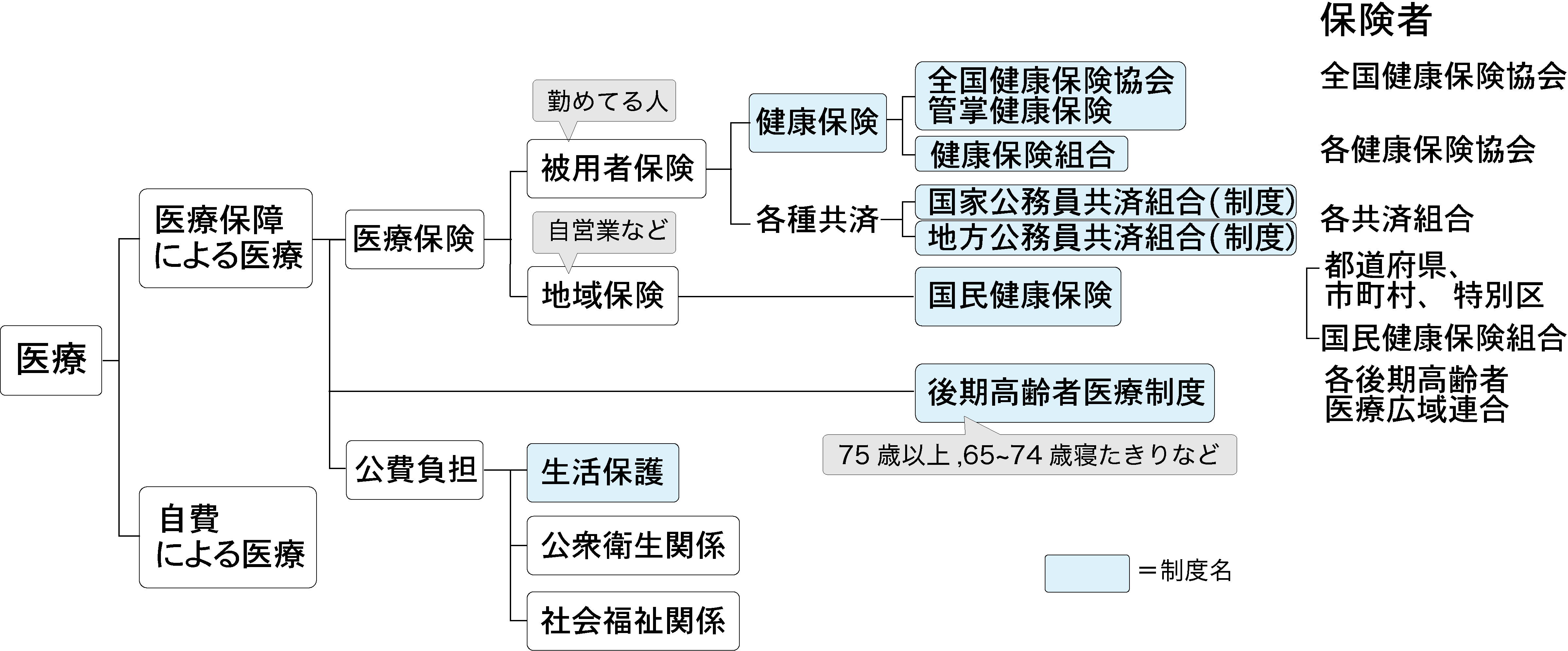 医療の分類図(医療保障による医療と自費による医療。医療保障は医療保険(被用者保険・地域保険)、後期高齢者医療制度、公費負担に分かれ、それぞれの保険者が示されている)