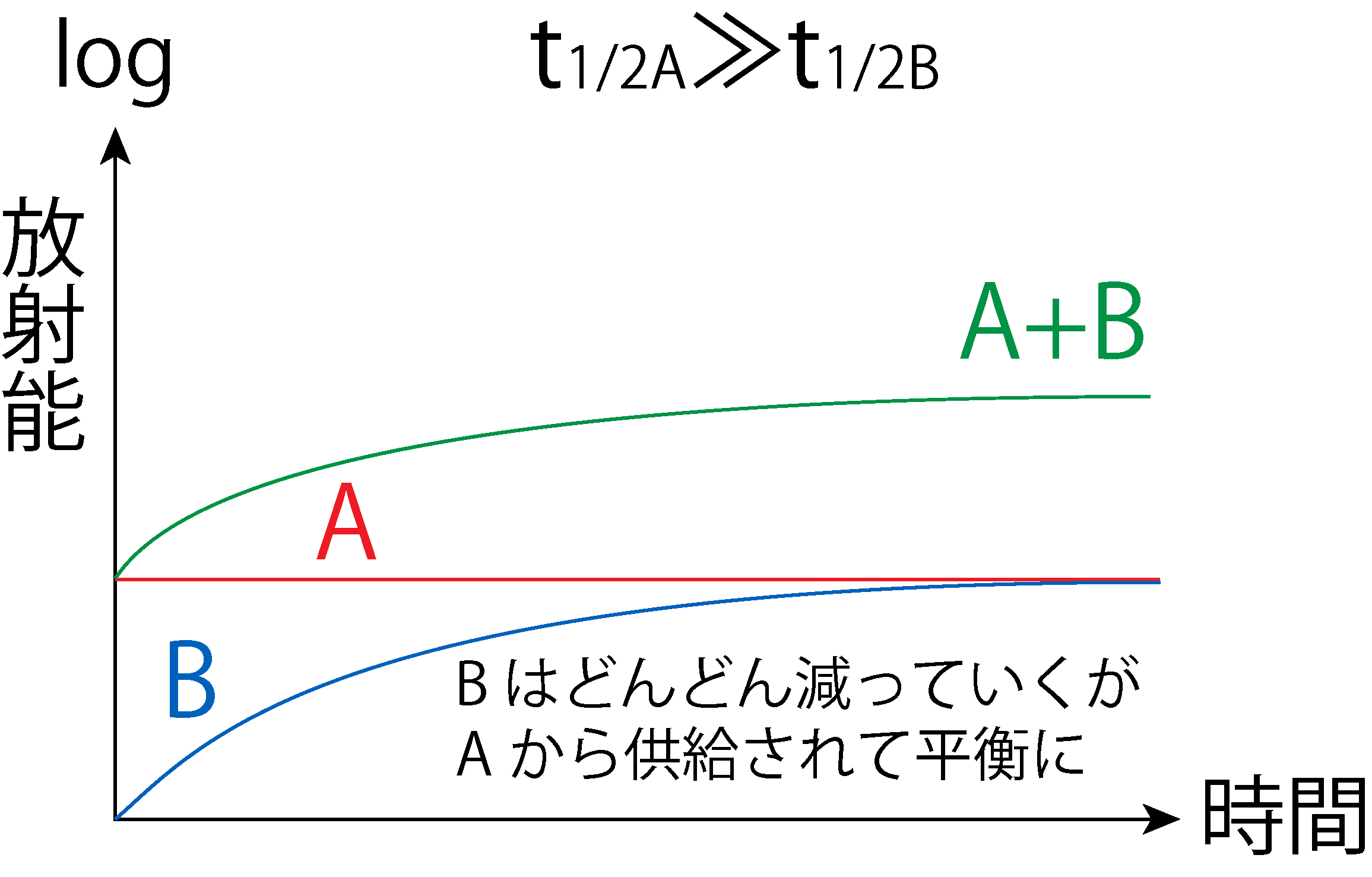 永続平衡のグラフ(t1/2A ≫ t1/2B)