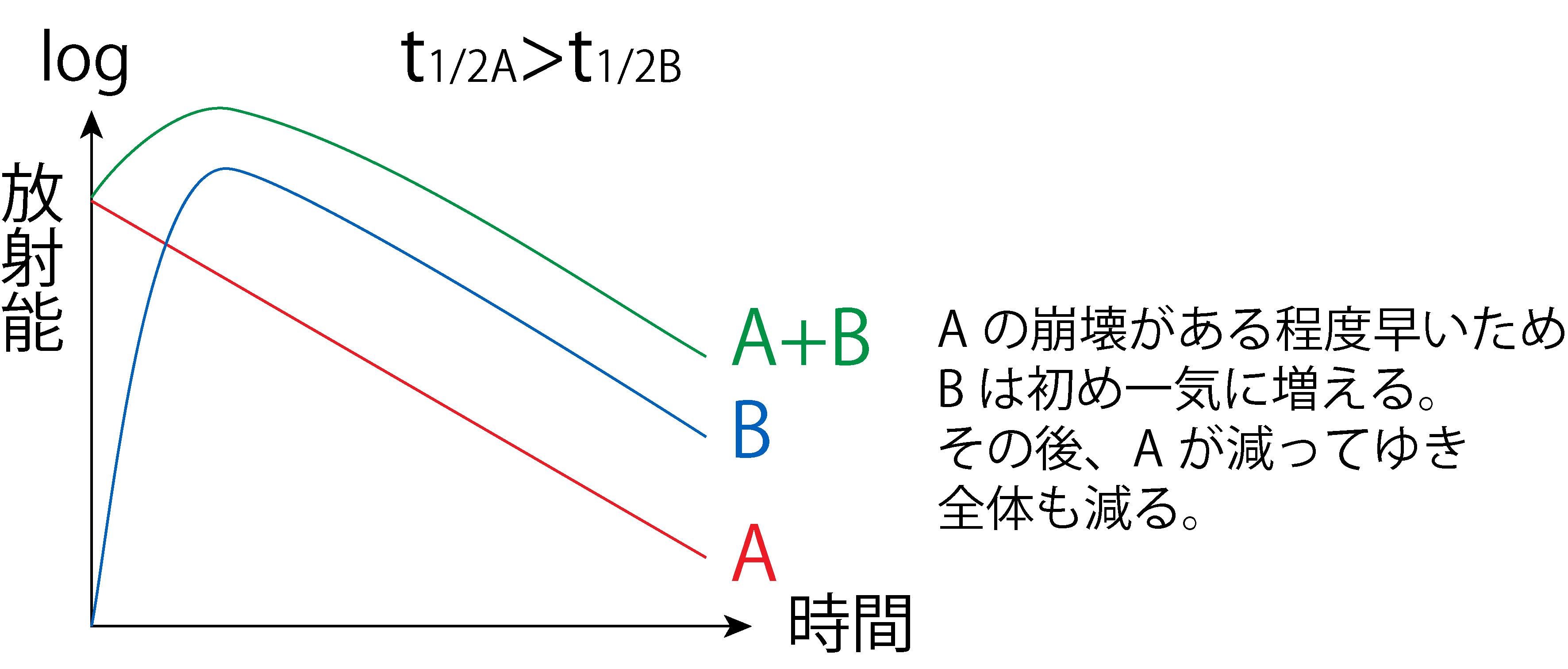 過渡平衡のグラフ(t1/2A > t1/2B)