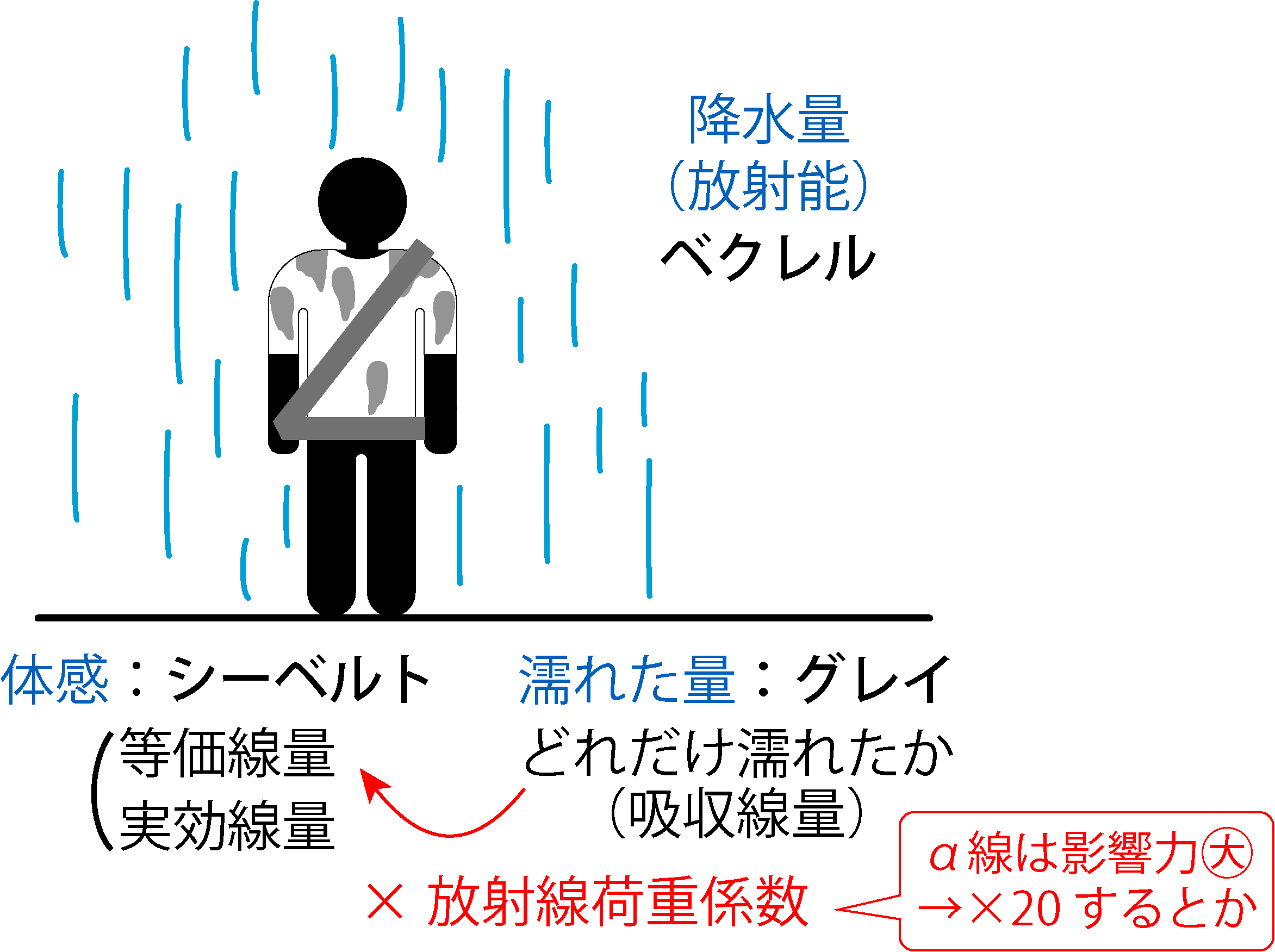 雨・白いTシャツ・シートベルトのイメージ図