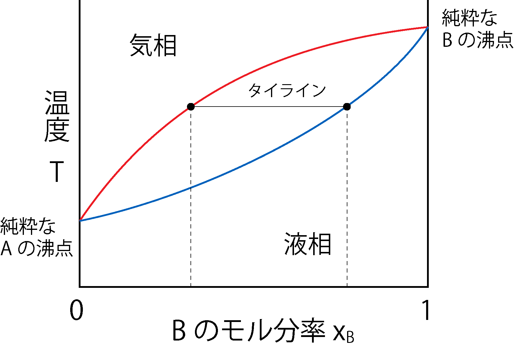 温度-組成図の基本形
