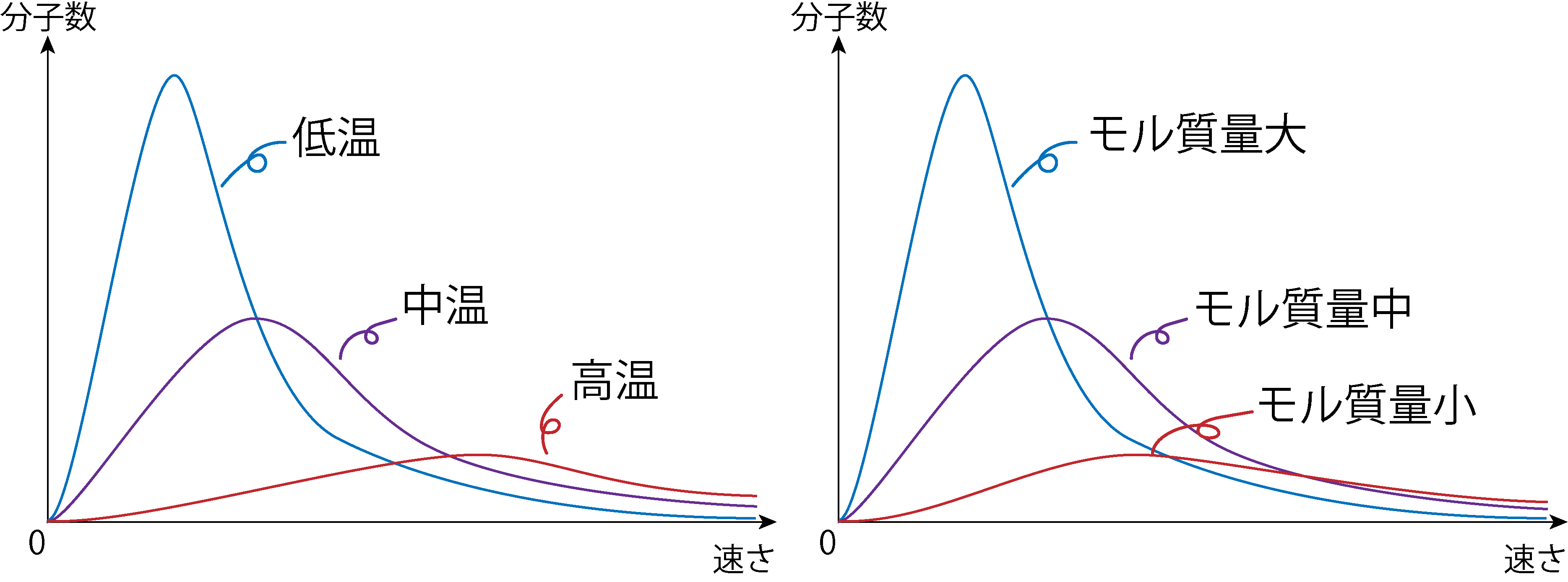 マクスウェルの気体分子の速さの分布