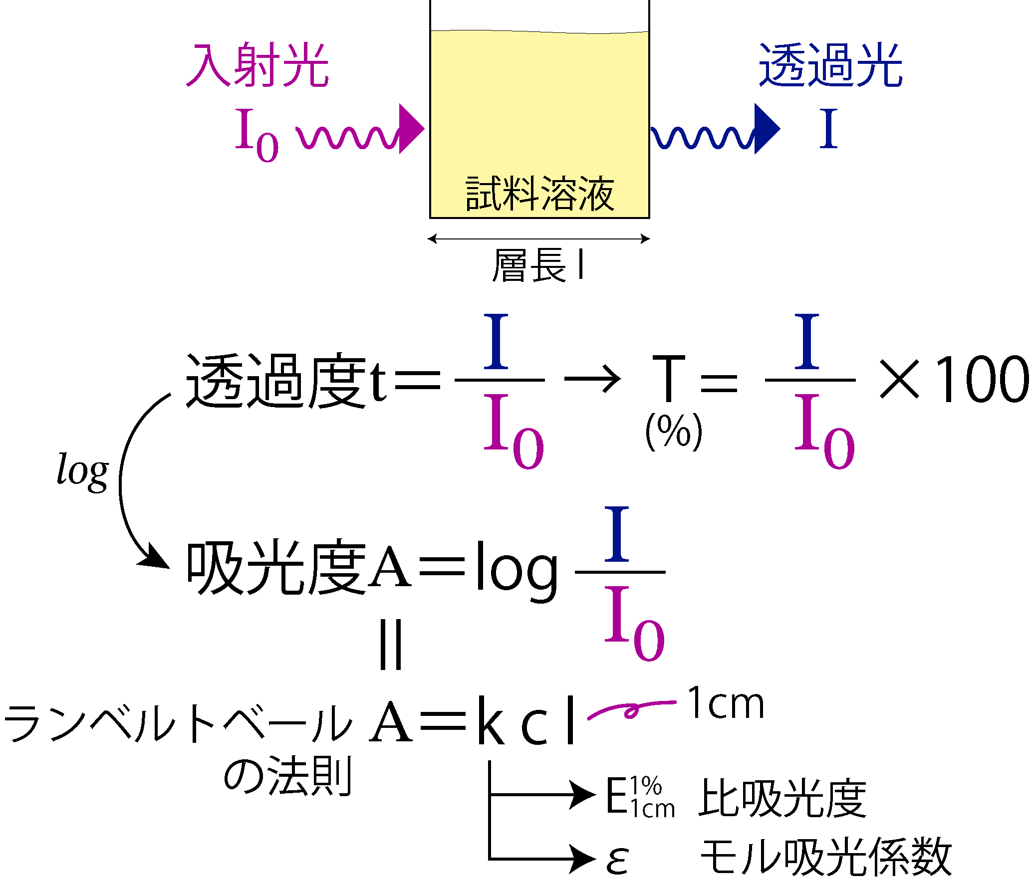 吸光度の考え方を示した解説図