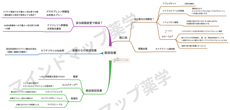 吸収改善のマインドマップ