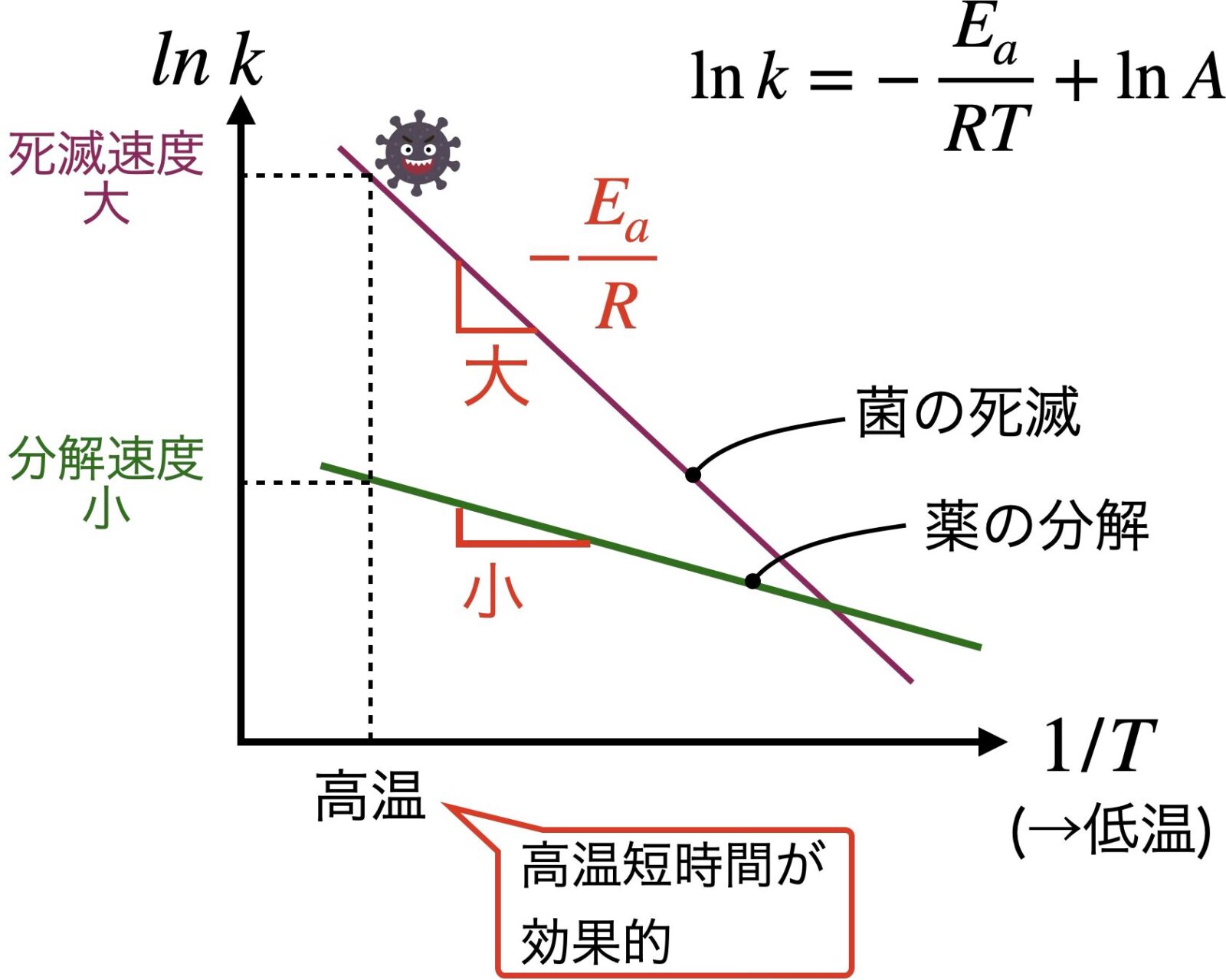 アレニウスプロット