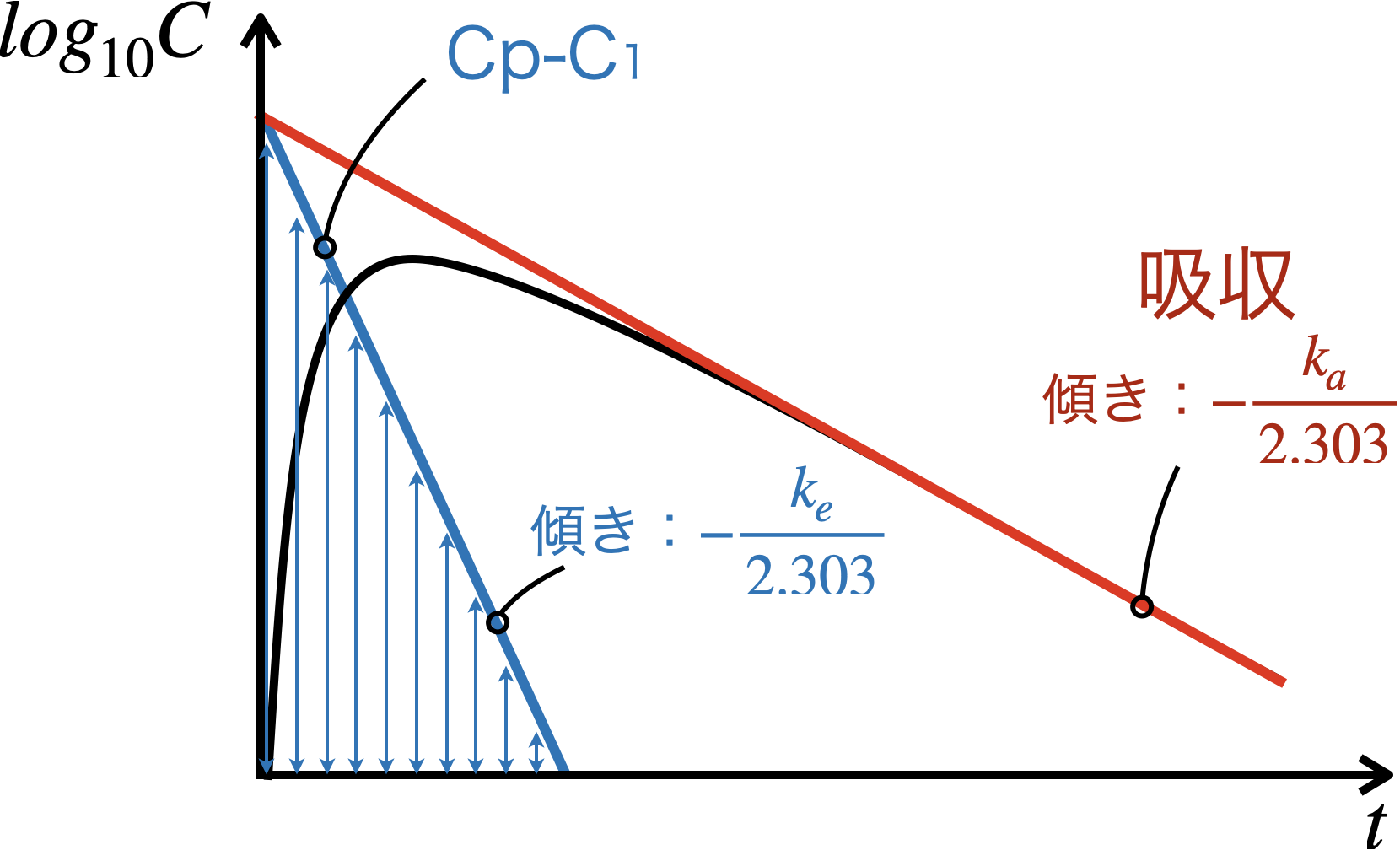 フリップフロップ現象